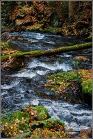 Podzimní potok