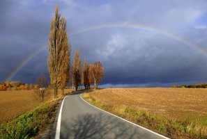 Vysočina u Rozňáku