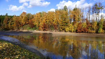 Vypuštěný Hajdovec